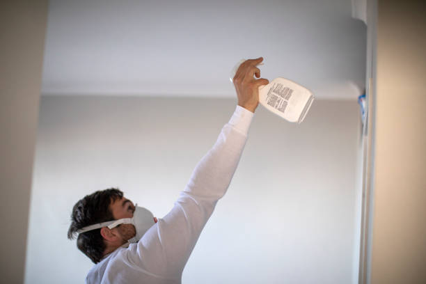 Best Commercial Mold Removal  in South Wallins, KY