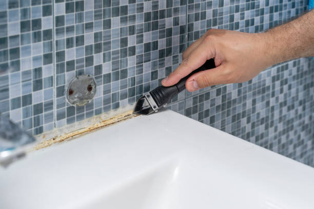 Best Certified Mold Removal  in South Wallins, KY